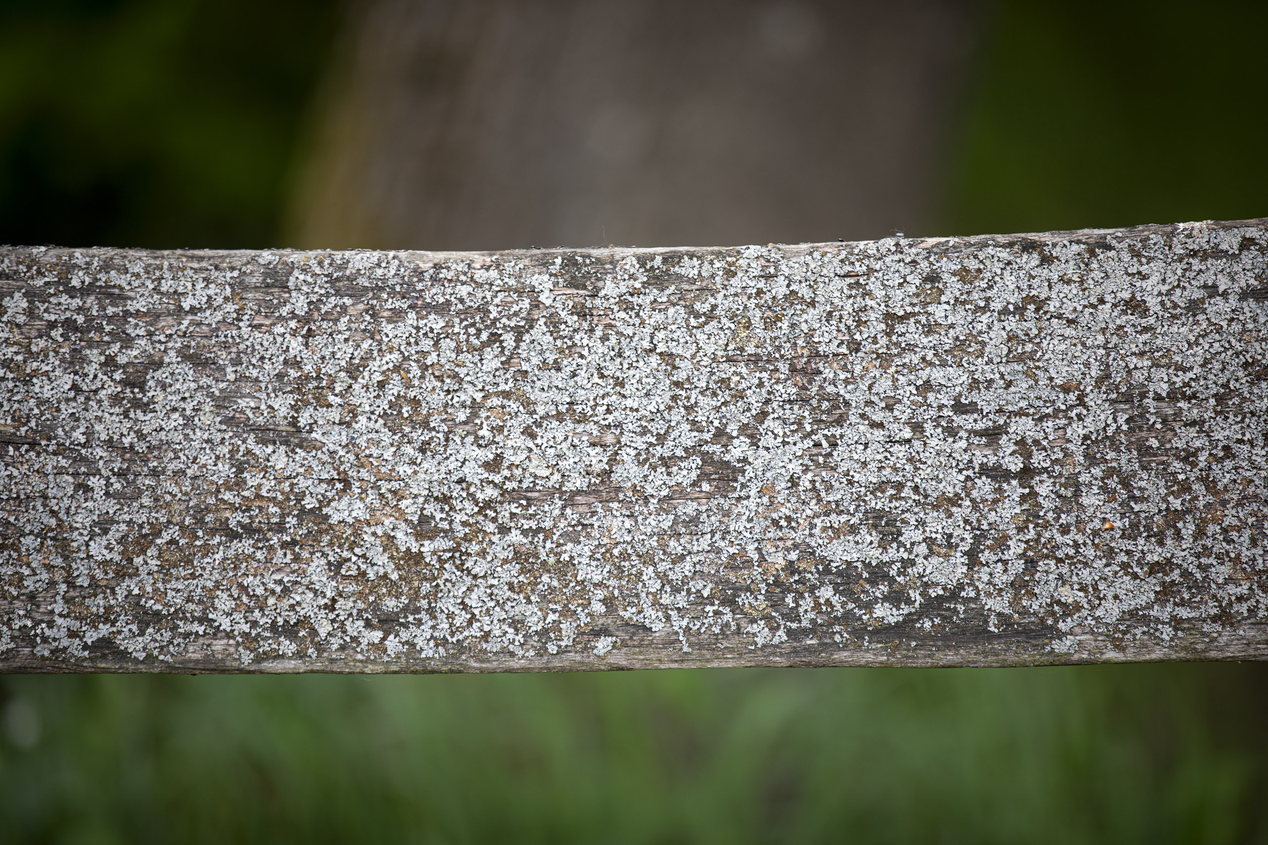 20250503142346 RD4 2590